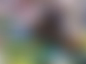 ¿Será este año su momento en Sprucemeadows?