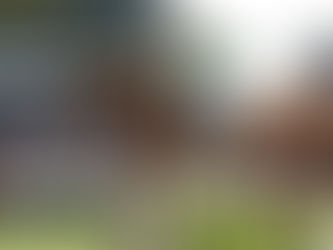 Belleza de imagen de Rodrigo Pessoa y Baloubet du Rouet en Aachen CSIO