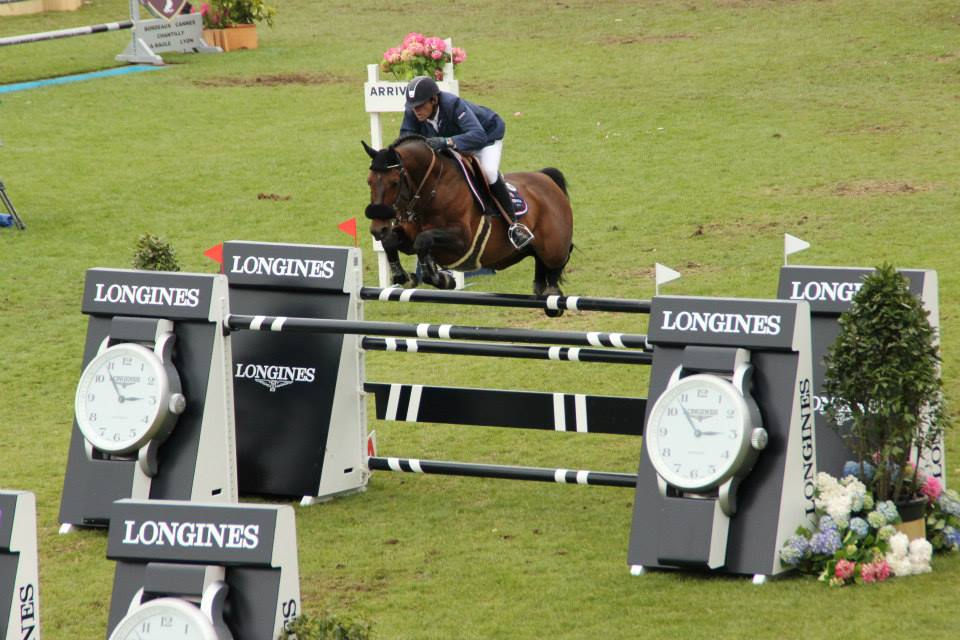 Armitages Boy el caballo "exuberante" en el aire