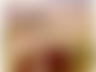 Henk Nooren con Pluco en el Mundial de  Aachen 78