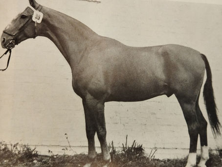 El modelo de Fanhenkönig