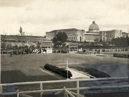 Un pura sangre como premio de la prueba