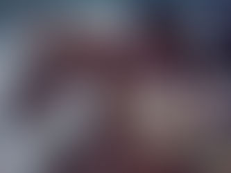 Otro gran pura sangre en manos de Debbie Johnsey: Moxy