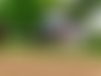 White Abarrio se impone a Sovereignty y a Journalism en el Oaklawn Handicap