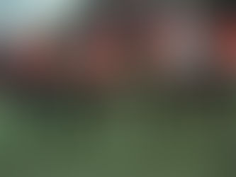 Equipo de Estados Unidos ganador en Calgary CSIO de 1.983