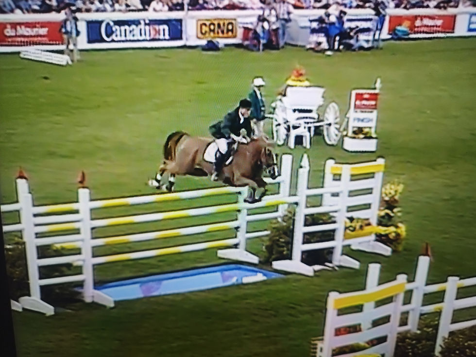 El curioso caso de Peter Charles en el CSIO de Dublín