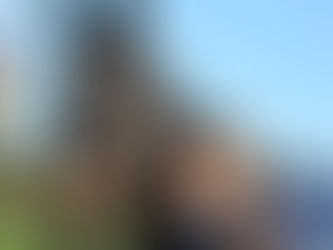 Jessica Burke: de profesora de matemáticas al máximo nivel hípico mundial