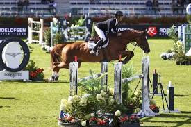 Topgun NS de Niels Bruynseels apunta a caballo verdaderamente importante