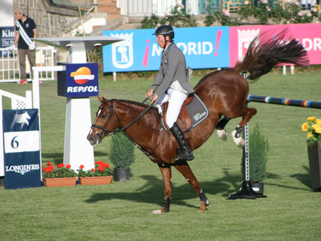 Los caballos que está corriendo Ludger Beerbaum este año