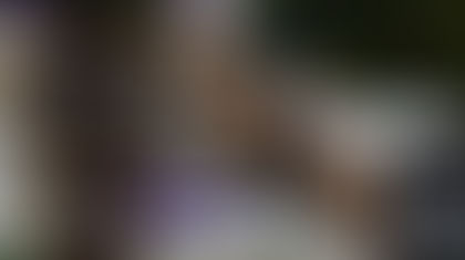 El CSIO de Barcelona Final de la League of Nations