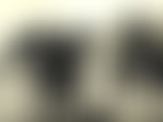 Nelson Pessoa con 12 años de edad