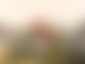 Katie Monahan con Special Envoy