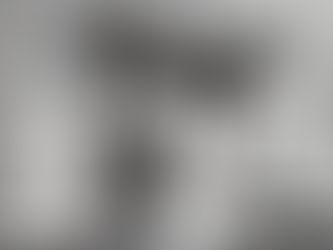 Meteor: de llevar leche a ganar medallas olímpicas