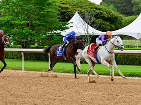 Enterrar a los "viejos" con calidad es un error...