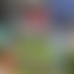 Un caballo de época