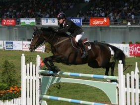Los nuevos caballos de Michael Whitaker