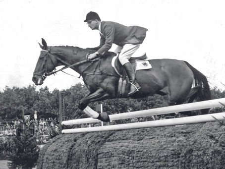 Halla tuvo ocho productos, pero ninguno de nivel