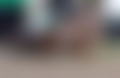 Journalism "corazón de león" volvió a demostrar su fe