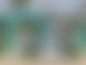 El Gran Premio de Wellington***** para Darragh Kenny