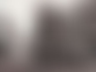 Equipo de Estados Unidos en Dublín CSIO de 1.958