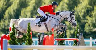 Ludger corrió en cinco concursos internacionales con Checker 47