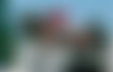 El jinete del 100 % de efectividad