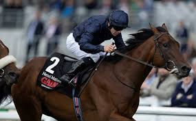 Una carrera magnífica