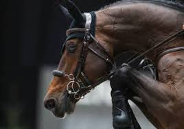 Parece que la ley de la gravedad no les afecta