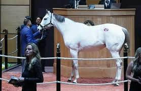 Se han pagado 6.200.000 dólares por la madre de Ted Noffey