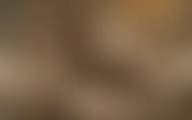 Delicieuse, la abuela materna de Jalisco B