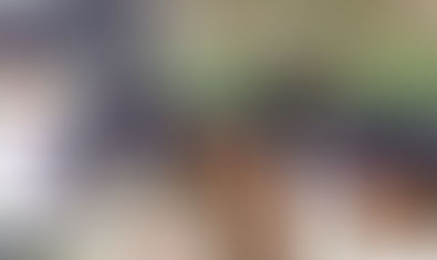 Eduardo Álvarez Aznar y Genaro Paulois ganan el Gran Premio de Valencia***