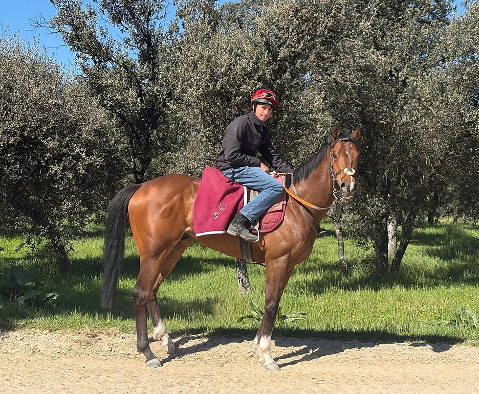 Mañana volverá a correr en Madrid Alaskan Gold