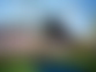 John Whitaker con Gammon