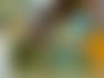 Tres caballos a lo largo de la historia en el mundo del concurso completo