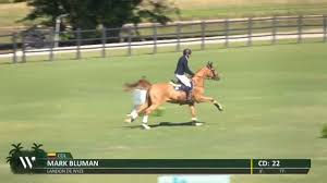 Landon de Nyze cada día más seguro de sí mismo. Gran trabajo de Mark Bluman