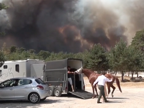 Las imágenes de Fontainebleau han sido verdaderamente impactantes