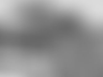 Gran Premio de Ginebra 1.957: 1º Fahnenkönig-2º Halla-3º Toscanella