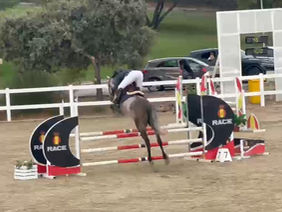 Caballos jóvenes: sí gracias
