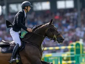 Los grandes caballos de 2.026 hasta la fecha en versión cinco estrellas
