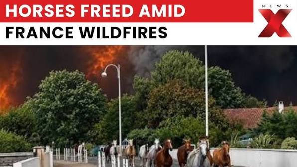Una importante iniciativa de la Federación Francesa y los incendios