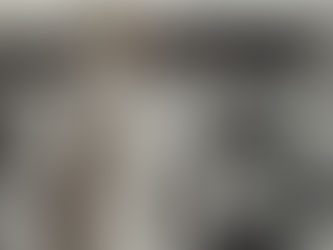 Una preciosa imagen de Aachen CSIO