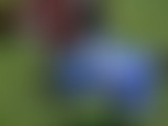 Un binomio asombroso en el Masters: Eric Lamaze-Hickstead