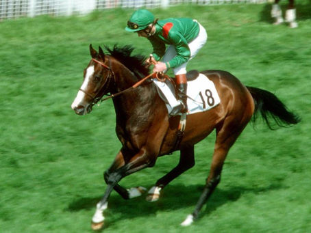 Seis a elegir cuál es el mejor