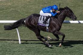¿Será capaz Rebel's Romance de lograr su tercera Breeders' Cup Turf?
