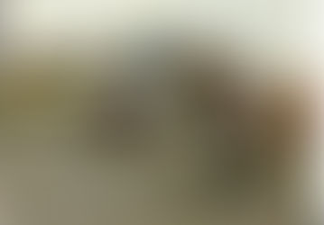 Jean Marc Nicolas un gran jinete para Francia