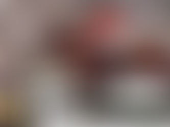 Blenheim también estuvo en el origen de Branch County