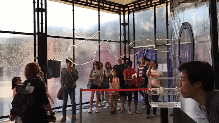 IMG_6190.GIF