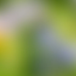 Naturschutzwoche vom 18. bis 28. April 2026