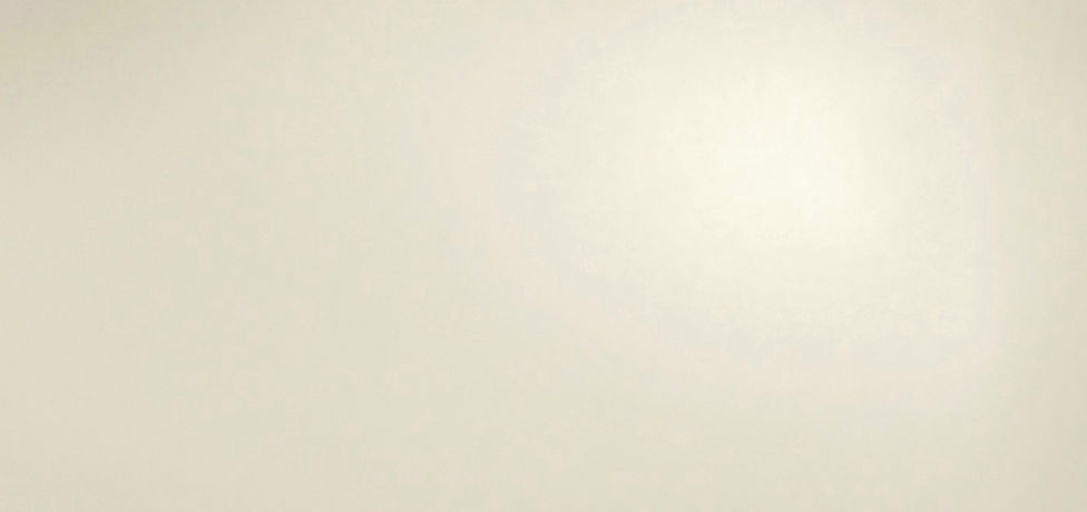 splaspage background.jpg