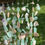 Thumbnail: Sea Glass and Shell Sun Catcher Wind Chime #29